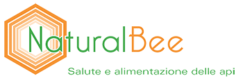 logo-banner.png